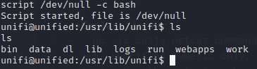cyber_shell_upgrade.png